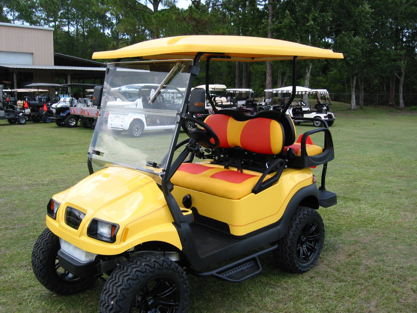 golf-cars-can-be-the-perfect-gift-for-seniors-and-their-children-gulf